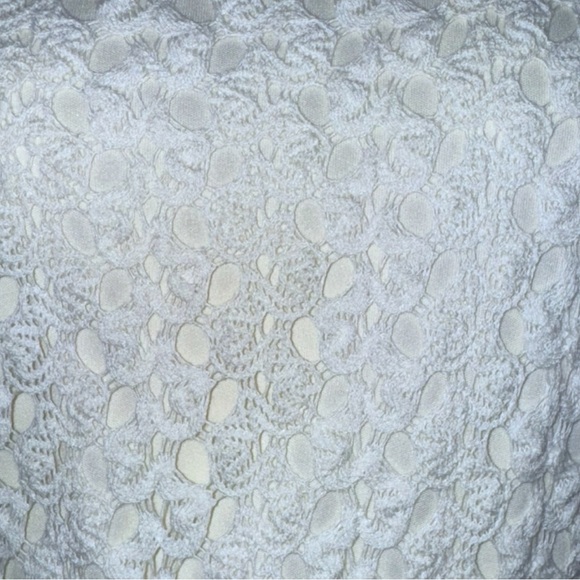 Anthropologie Lily Rose Dress Ivory Lace Fit & Flare Mini Size Small Euro Summer - Picture 7 of 16